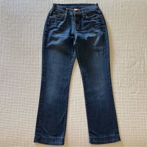Lucky Brand 🍀 by Gene Montesano. Size 6/28 in blue denim.